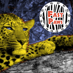 Fast Paws (aka Chris Sykes) showcase image